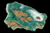 Polished Mtorolite (Chrome Chalcedony) - Zimbabwe #128364-2